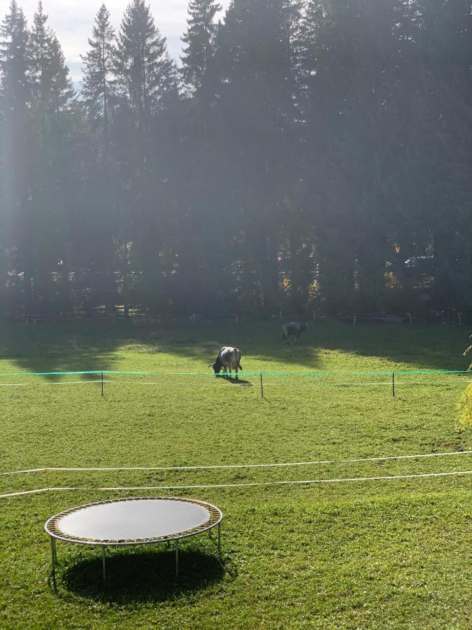 Birkenhof Lejlighed Leutasch Eksteriør billede